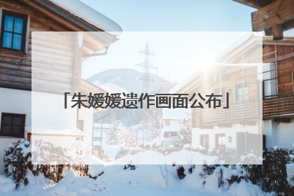 朱媛媛遗作画面公布