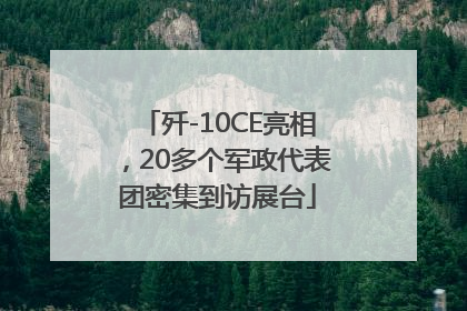 歼-10CE亮相，20多个军政代表团密集到访展台