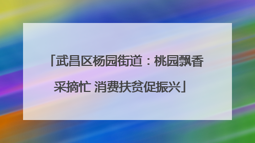 武昌区杨园街道：桃园飘香采摘忙 消费扶贫促振兴
