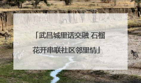 武昌城里话交融 石榴花开串联社区邻里情