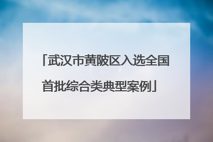 武汉市黄陂区入选全国首批综合类典型案例