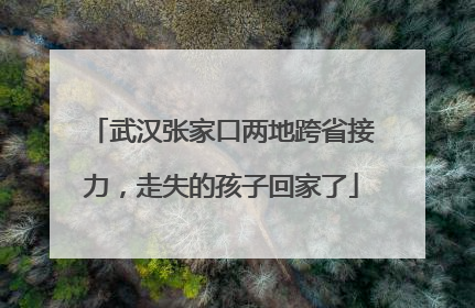 武汉张家口两地跨省接力，走失的孩子回家了