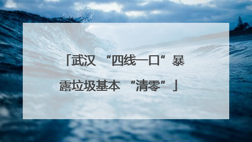 武汉 “四线一口”暴露垃圾基本 “清零”