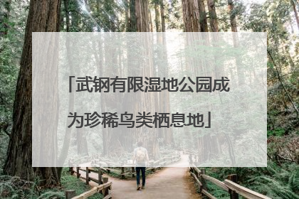 武钢有限湿地公园成为珍稀鸟类栖息地