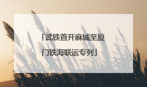 武铁首开麻城至厦门铁海联运专列