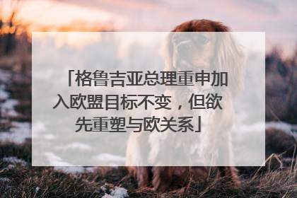 格鲁吉亚总理重申加入欧盟目标不变，但欲先重塑与欧关系