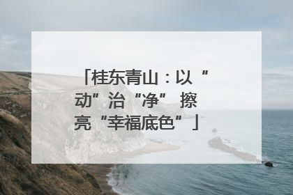桂东青山：以“动”治“净” 擦亮“幸福底色”