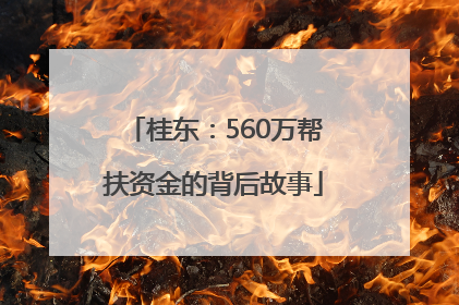 桂东：560万帮扶资金的背后故事
