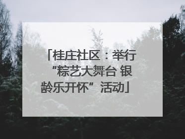 桂庄社区：举行“粽艺大舞台 银龄乐开怀”活动