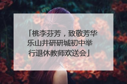 桃李芬芳，致敬芳华 乐山井研研城初中举行退休教师欢送会
