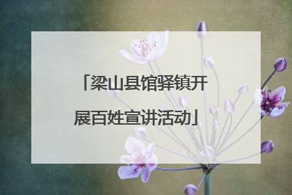 梁山县馆驿镇开展百姓宣讲活动