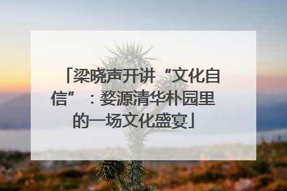 梁晓声开讲“文化自信”：婺源清华朴园里的一场文化盛宴