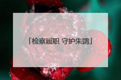 检察履职 守护朱鹮