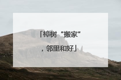 樟树“搬家”，邻里和好