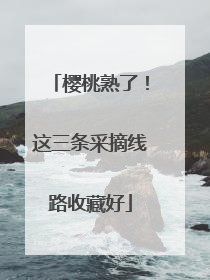 樱桃熟了！这三条采摘线路收藏好