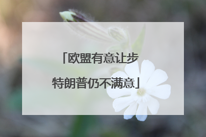 欧盟有意让步 特朗普仍不满意