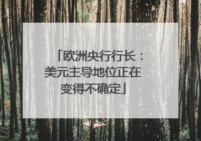欧洲央行行长：美元主导地位正在变得不确定