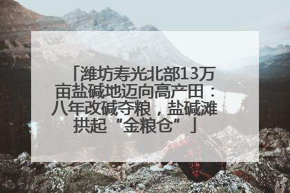 潍坊寿光北部13万亩盐碱地迈向高产田：八年改碱夺粮，盐碱滩拱起“金粮仓”