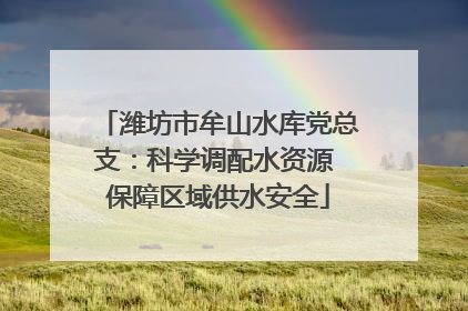 潍坊市牟山水库党总支：科学调配水资源 保障区域供水安全