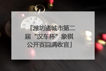 潍坊诸城市第二届“汉车杯”象棋公开赛圆满收官