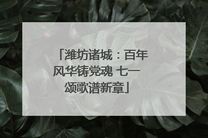 潍坊诸城：百年风华铸党魂 七一颂歌谱新章