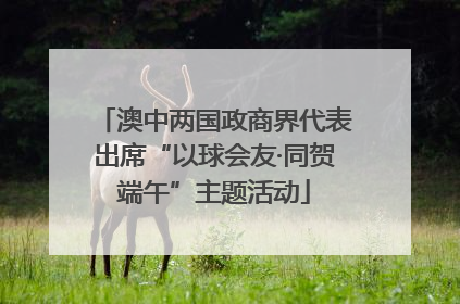 澳中两国政商界代表出席“以球会友·同贺端午”主题活动