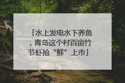 水上发电水下养鱼，青岛这个村百亩竹节虾抢“鲜”上市