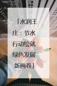 水润王庄：节水行动绘就绿色发展新画卷