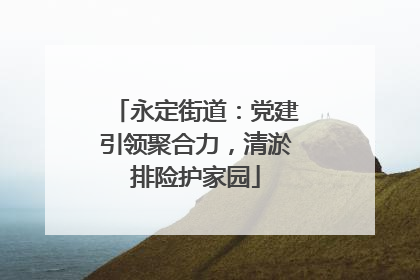 永定街道：党建引领聚合力，清淤排险护家园