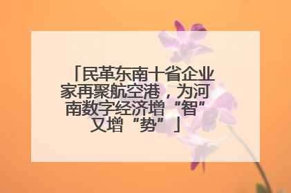 民革东南十省企业家再聚航空港，为河南数字经济增“智”又增“势”