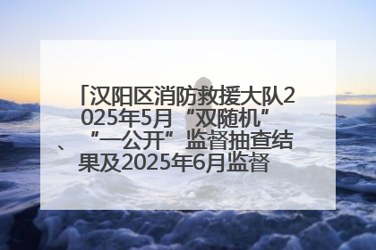 汉阳区消防救援大队2025年5月“双随机”、“一公开”监督抽查结果及2025年6月监督抽查任务公示