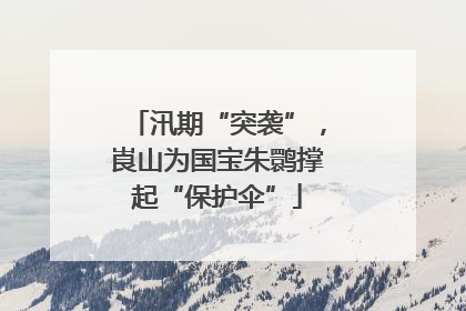汛期“突袭”，崀山为国宝朱鹮撑起“保护伞”