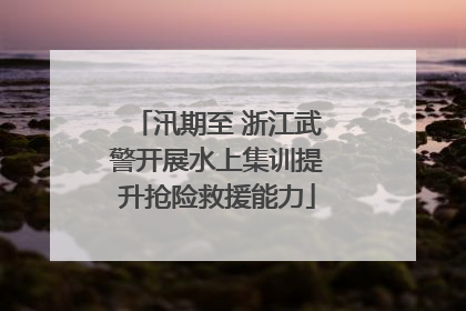 汛期至 浙江武警开展水上集训提升抢险救援能力