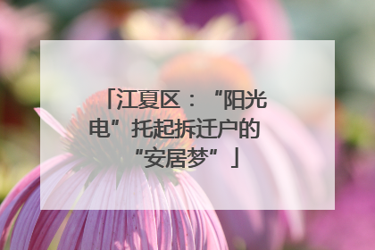 江夏区：“阳光电”托起拆迁户的“安居梦”