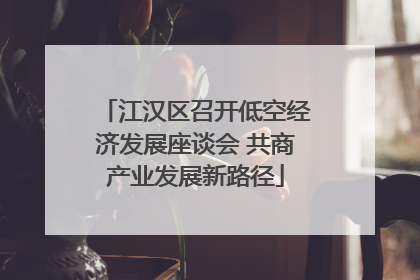 江汉区召开低空经济发展座谈会 共商产业发展新路径