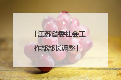 江苏省委社会工作部部长调整