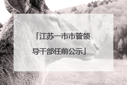 江苏一市市管领导干部任前公示