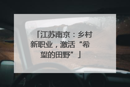 江苏南京：乡村新职业，激活“希望的田野”