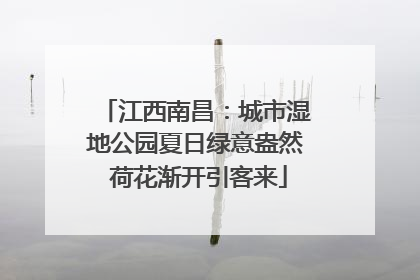 江西南昌：城市湿地公园夏日绿意盎然 荷花渐开引客来