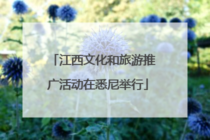 江西文化和旅游推广活动在悉尼举行