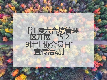江陵六合垸管理区开展 “5.29计生协会员日”宣传活动