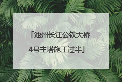 池州长江公铁大桥4号主塔施工过半