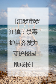 汨罗市罗江镇：禁毒护苗齐发力 守护校园助成长
