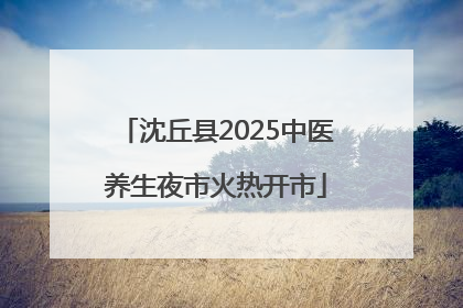沈丘县2025中医养生夜市火热开市