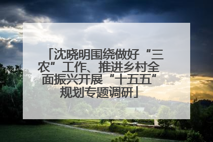 沈晓明围绕做好“三农”工作、推进乡村全面振兴开展“十五五”规划专题调研