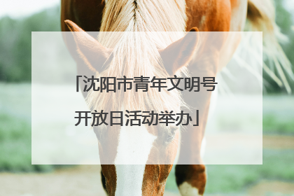 沈阳市青年文明号开放日活动举办