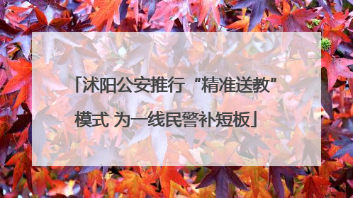 沭阳公安推行“精准送教”模式 为一线民警补短板