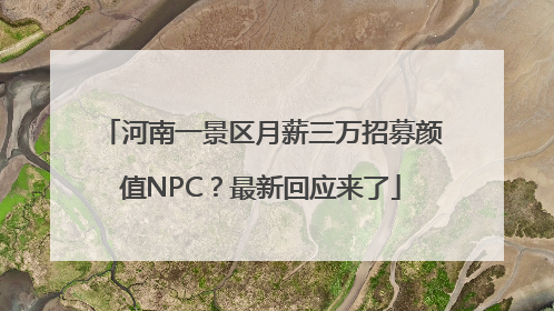 河南一景区月薪三万招募颜值NPC？最新回应来了