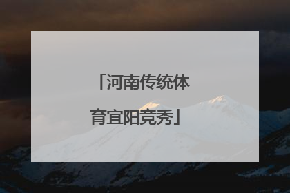 河南传统体育宜阳竞秀