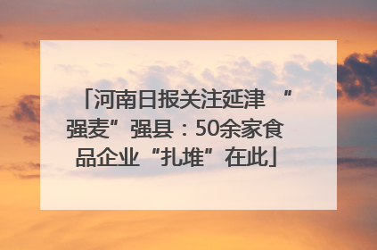 河南日报关注延津 “强麦”强县：50余家食品企业“扎堆”在此